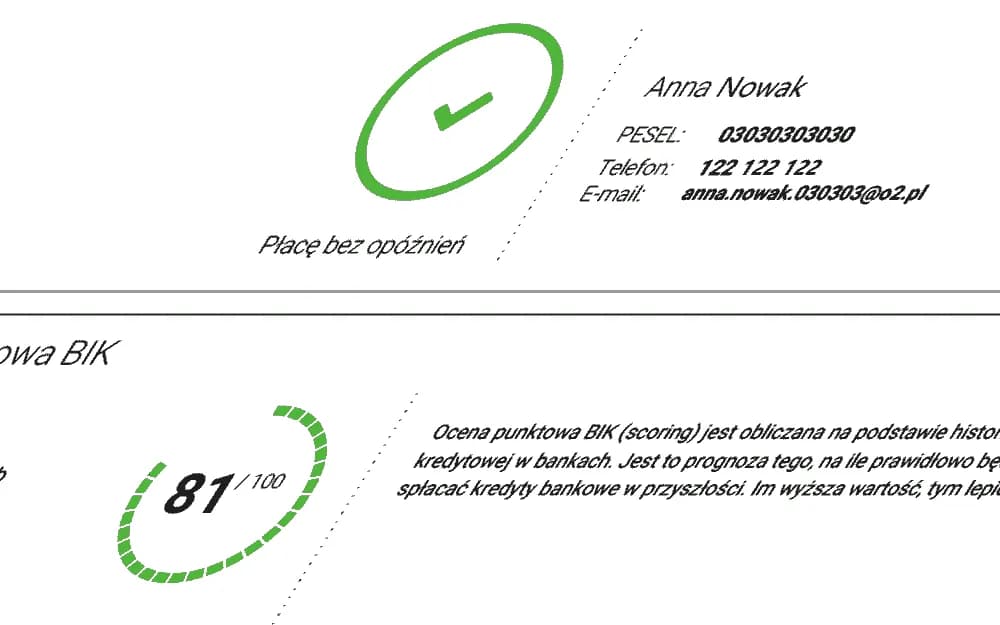 Jak uzyskać raport BIK nie mając konta w banku: Prosty poradnik